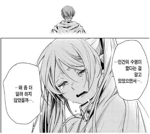 장송의프리렌) 하여튼 X간 ㅅㄲ들 은혜를 몰라... - 이미지 4