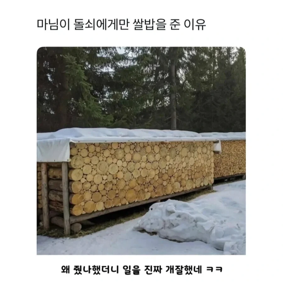 마님이 돌쇠에게 쌀밥을 준.eu