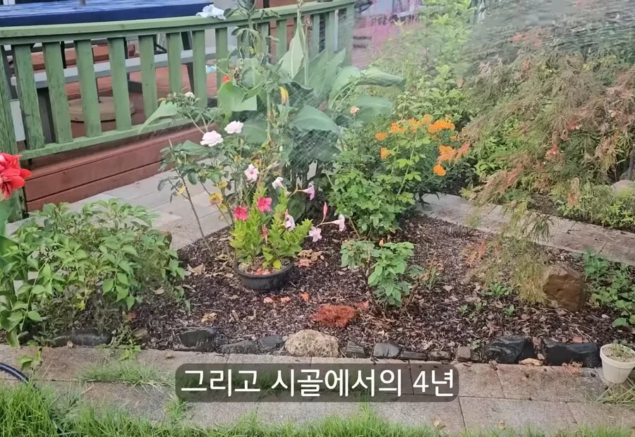 휴식을 위해 ＇귀촌＇을 한 사람들이 깨닫게 되는 현실 - 이미지 14