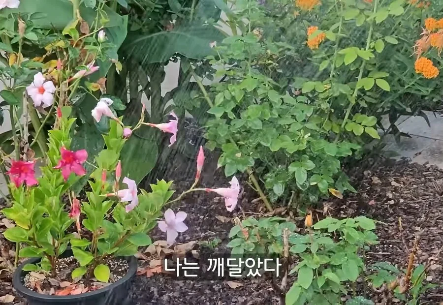 휴식을 위해 ＇귀촌＇을 한 사람들이 깨닫게 되는 현실 - 이미지 15