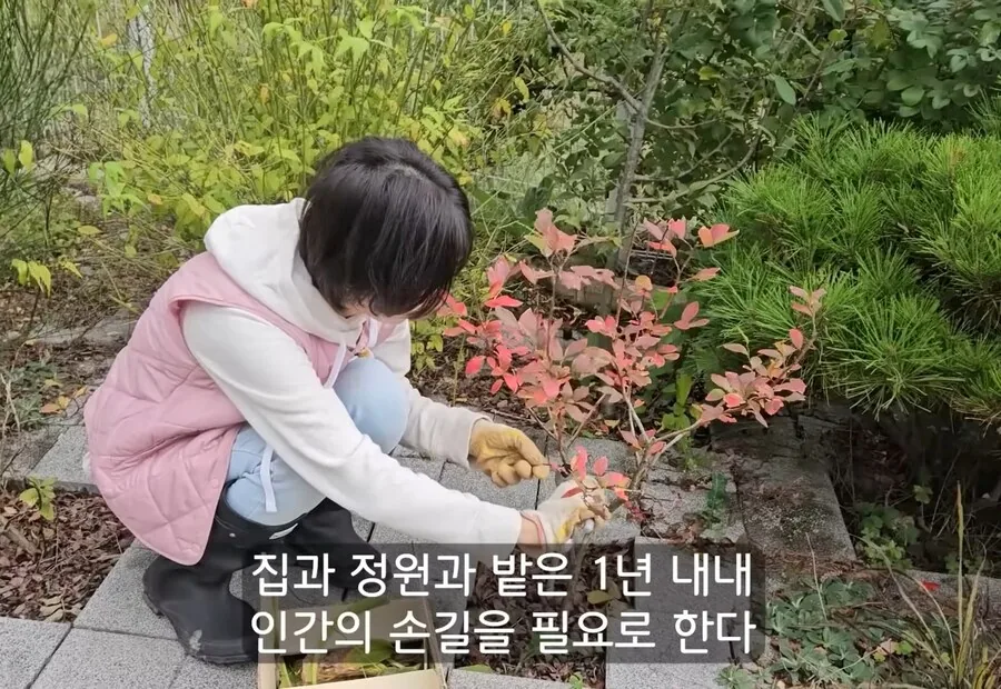 휴식을 위해 ＇귀촌＇을 한 사람들이 깨닫게 되는 현실 - 이미지 18