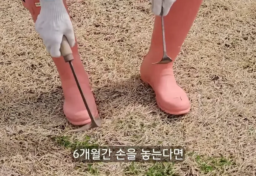 휴식을 위해 ＇귀촌＇을 한 사람들이 깨닫게 되는 현실 - 이미지 19