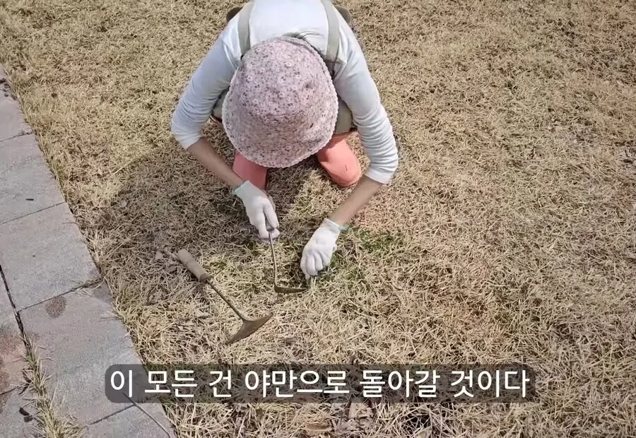 휴식을 위해 ＇귀촌＇을 한 사람들이 깨닫게 되는 현실 - 이미지 20