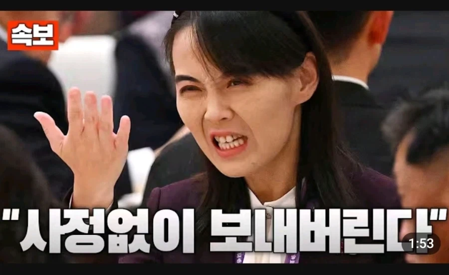 어느 해외토픽 유튜버 댓글상태 - 이미지 2