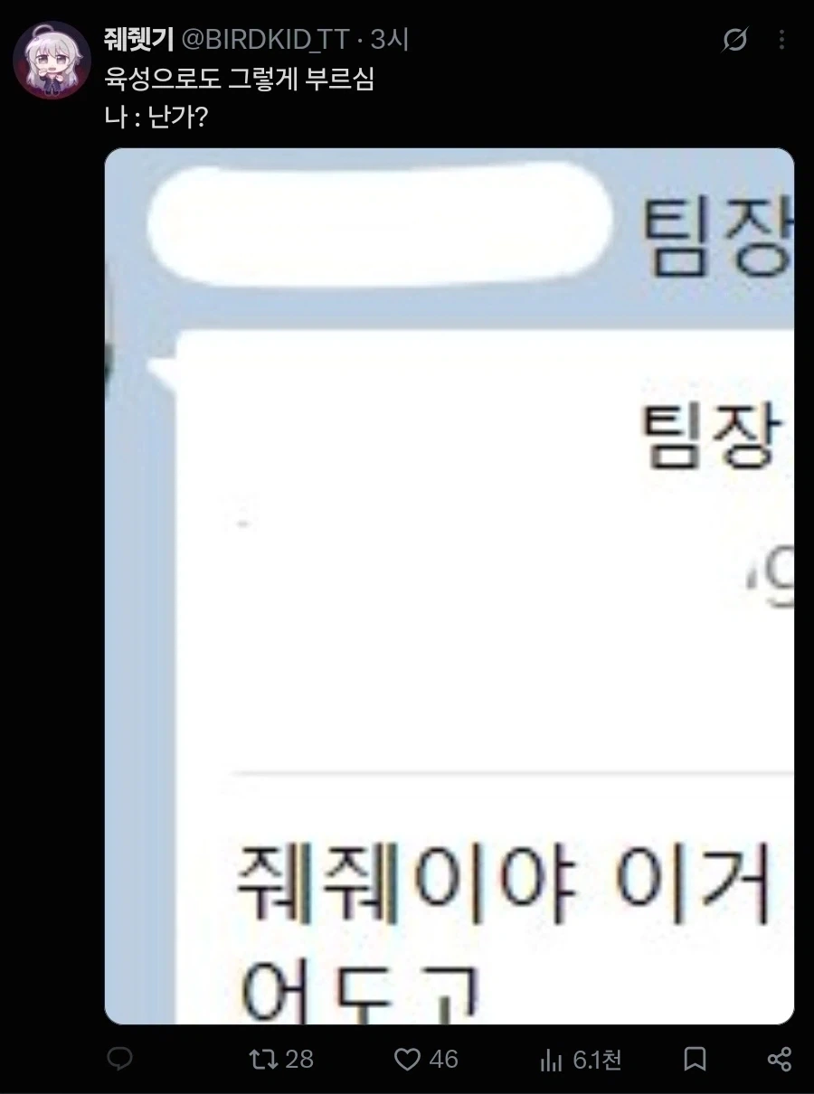 팀장 : 줴줴이야 - 이미지 2