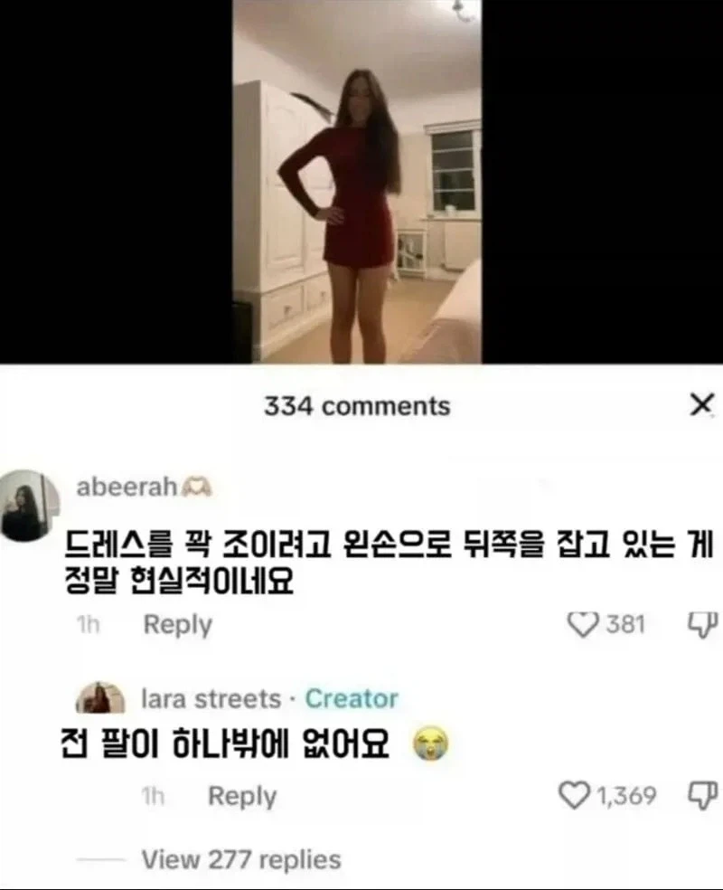 현실적인 룩북에 감탄한 댓글