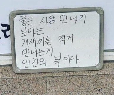 뼈가 되고 살이 되는 명언