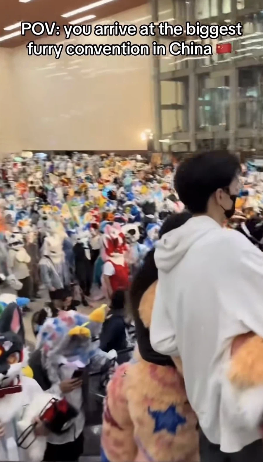 중국 광저우를 삼킨 털 페스티벌 - 이미지 3