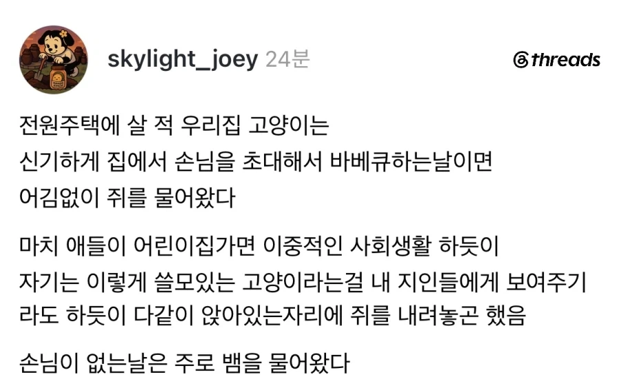 사회생활하는 고양이.jpg