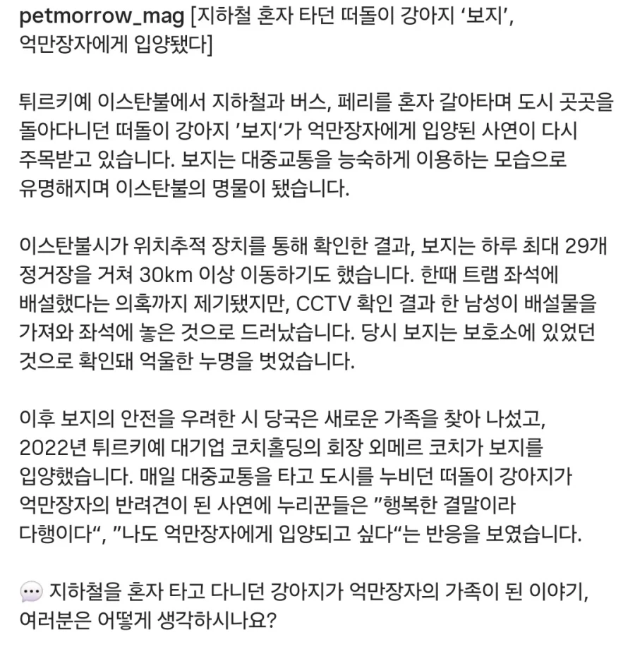 떠돌이 개 ＇보지＇ 억만장자에 입양됐다 - 이미지 2