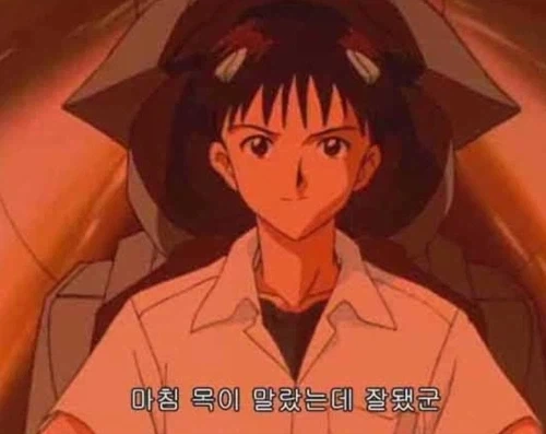 십상남자 부캉이