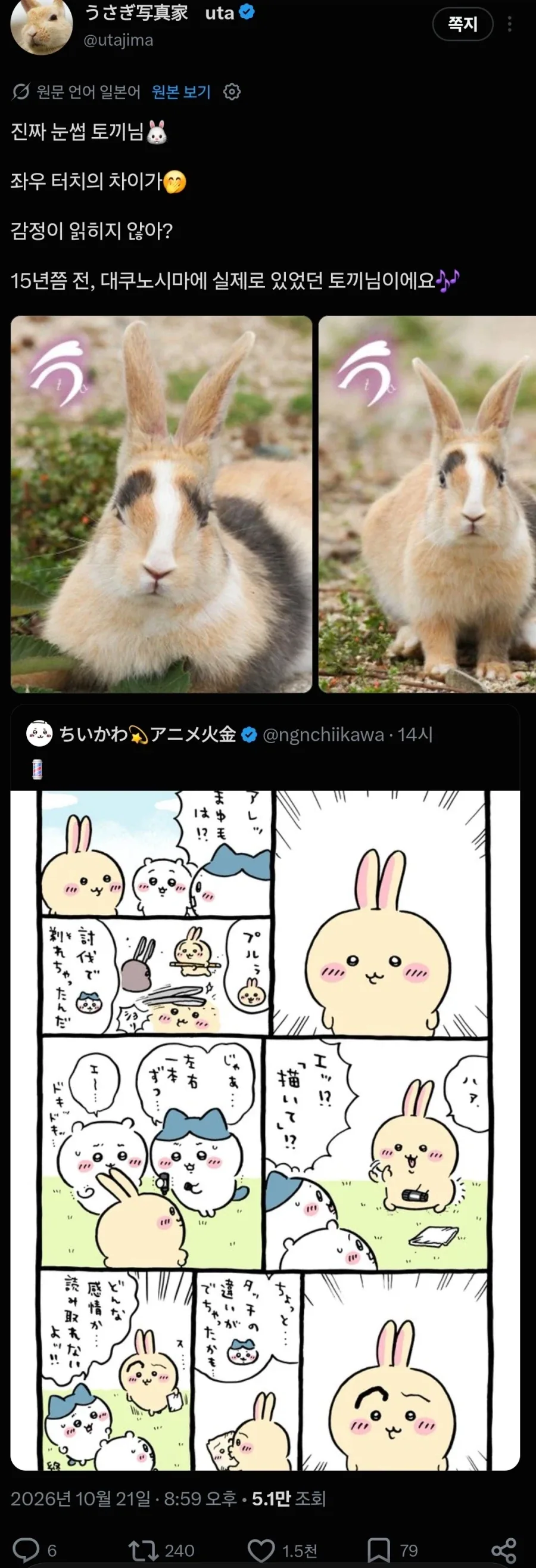 일본 토끼섬 전속 프로 사진사 특