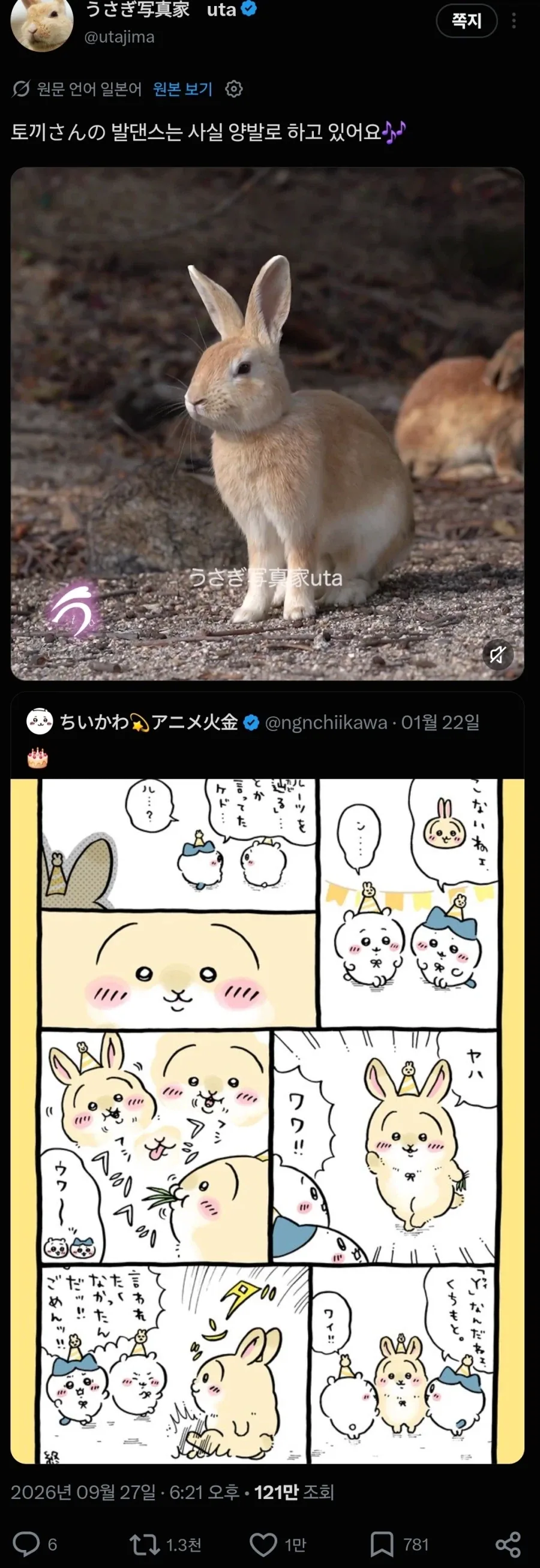 일본 토끼섬 전속 프로 사진사 특 - 이미지 6