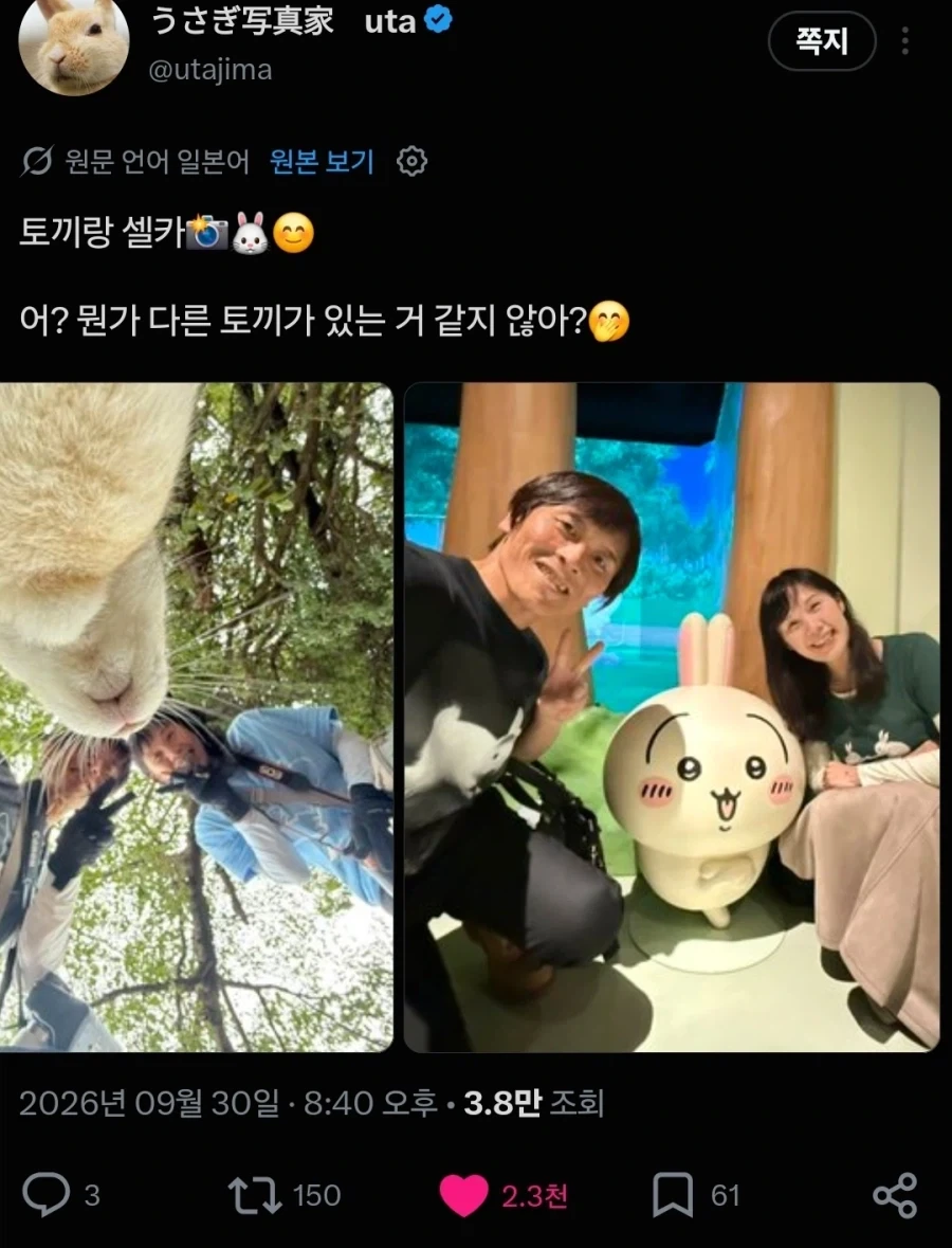 일본 토끼섬 전속 프로 사진사 특 - 이미지 7