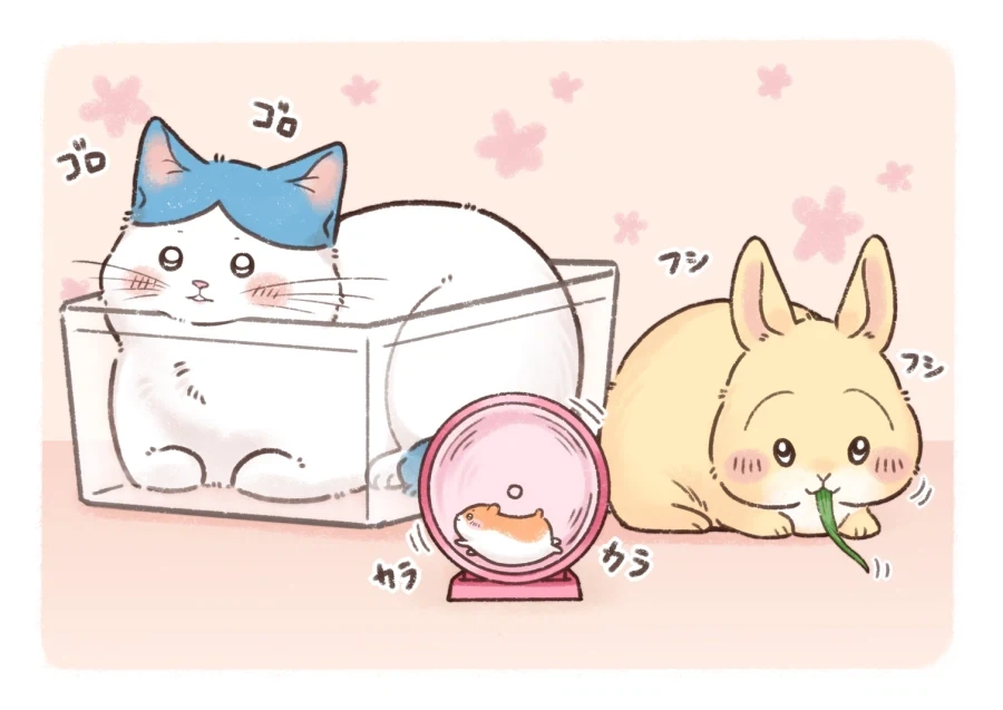 치이카와)근본으로 돌아감