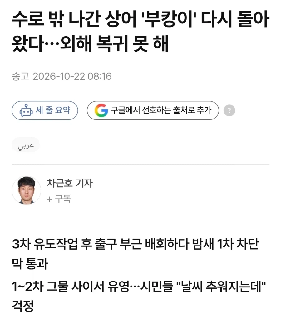 얘는 북항공원에 뼈를 묻으려하나