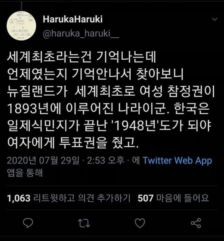 여성 참정권에 일침을 가하는 X유저