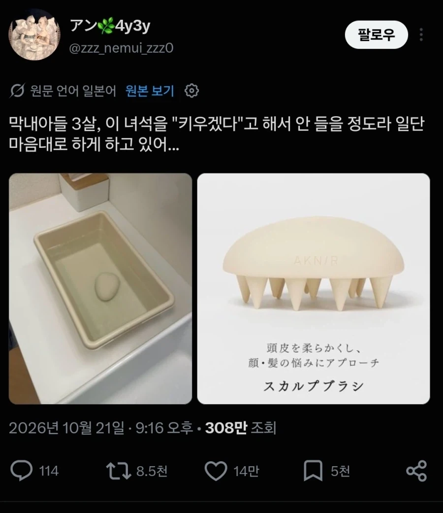 아들이 키우기 시작한 존재...