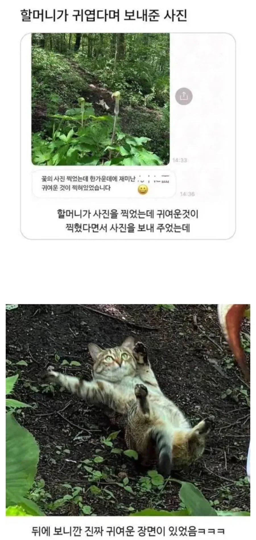 할머니가 귀엽다며 보내준 사진.jpg