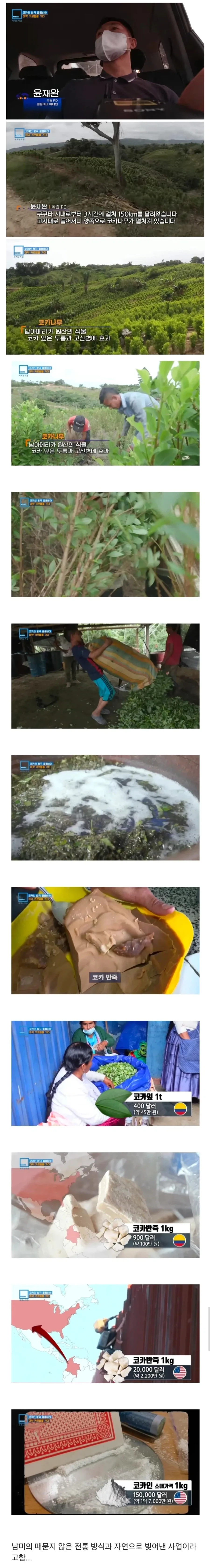 남미에 진짜로 있다는 농업 카르텔ㄷㄷㄷㄷㄷ
