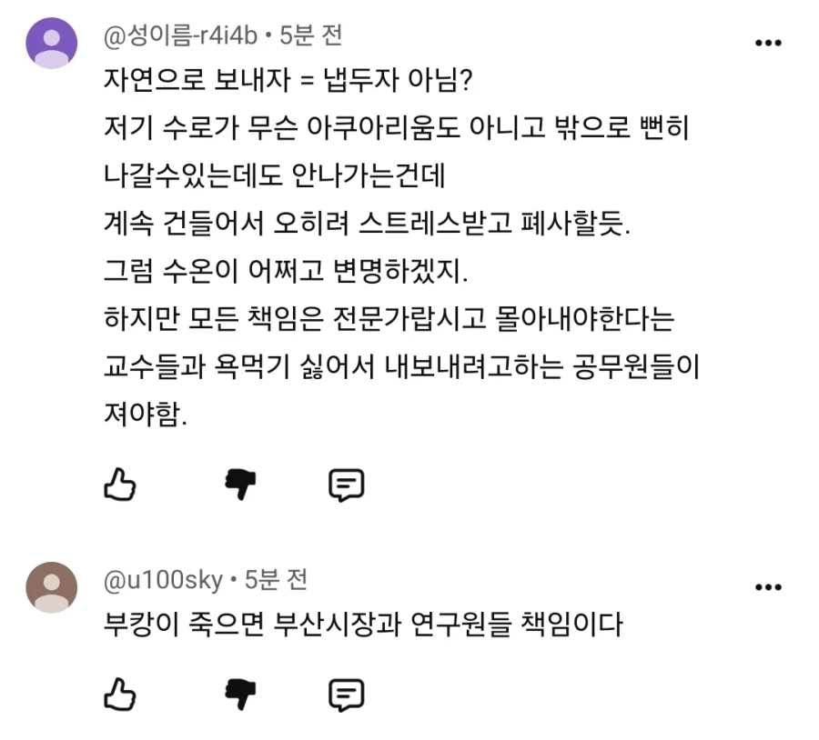 가불기 걸어버린 부캉이맘들.jpg - 이미지 3