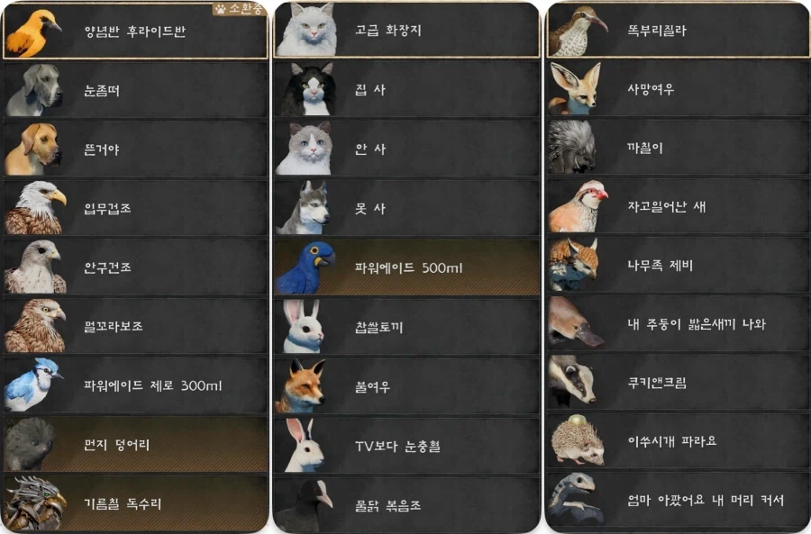 흔한 붉은사막 반려동물 이름들