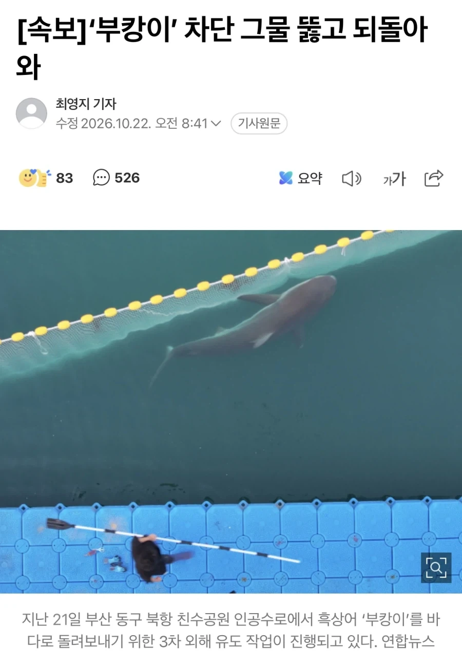 돌아와요~ 부산항에~~