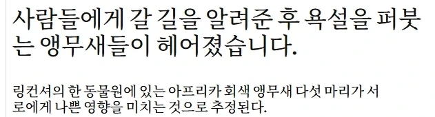 욕하던 앵무새들을 격리조치한 동물원.jpg