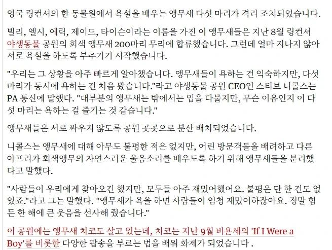 욕하던 앵무새들을 격리조치한 동물원.jpg - 이미지 3
