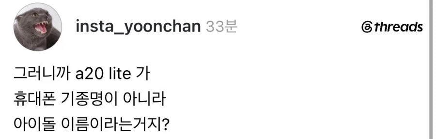 a20 lite라는 이름 들으면 떠오르는 것.jpg
