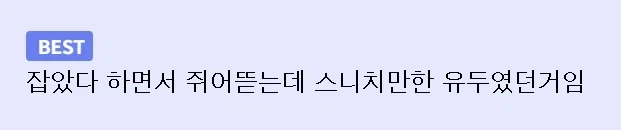 해리포터) 골드 스니치 대신에 다른걸 잡은 해리.jpg - 이미지 2