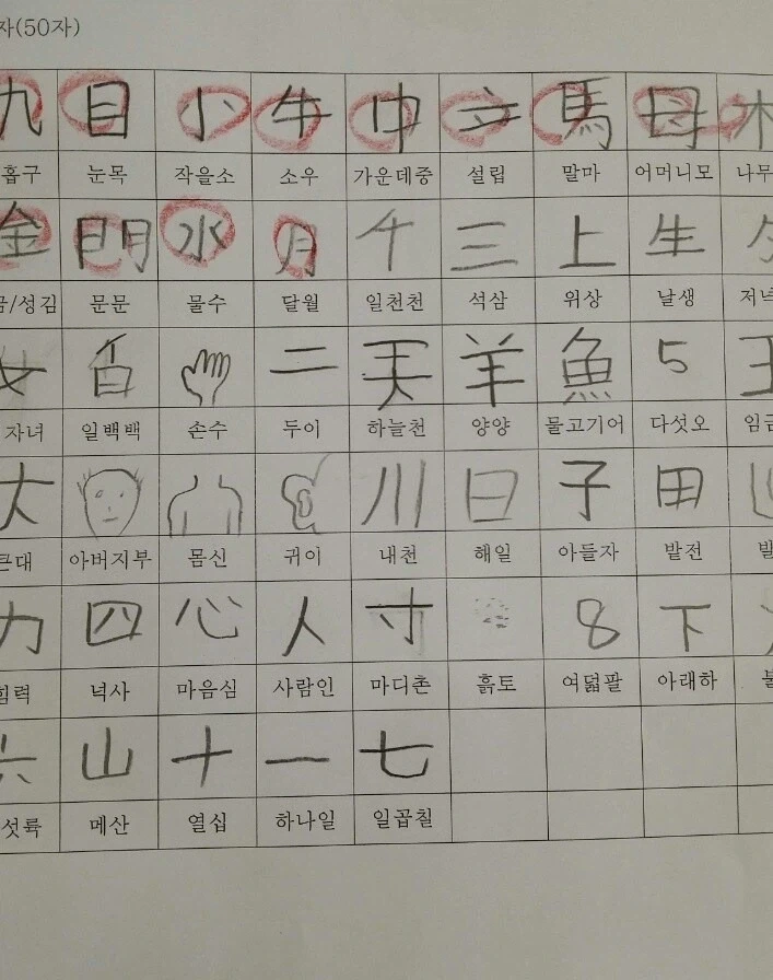 초등학생의 한자실력.jpg