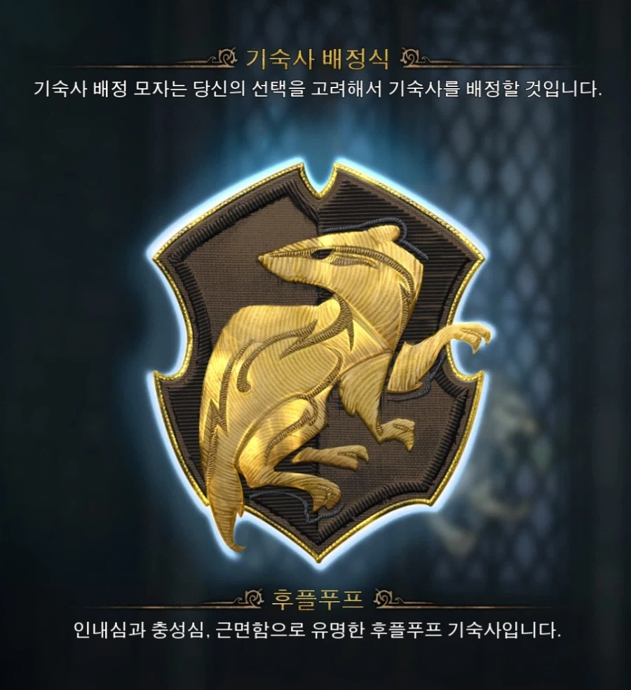 호그와트 기숙사 설명.jpg - 이미지 2