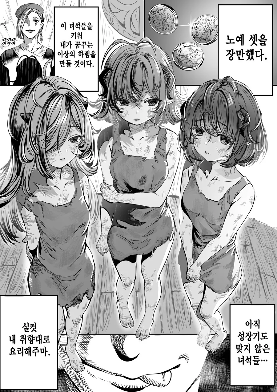 ㅎㅂ) 여자 ㄴㅇ 3명 구매해서 ㅎㄹ 만드는 만화.manhwa