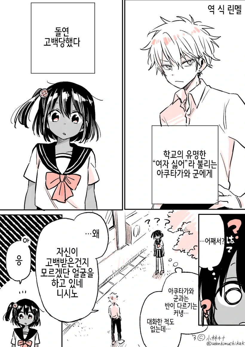 여자를 싫어하는 남자한테 고백받는 만화