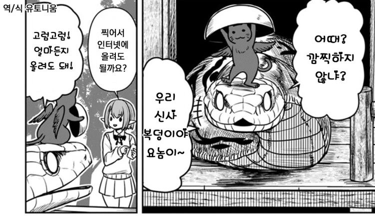 신사에서 꼬내이 키우는 것을 결사 반대하는 토지신님 manhwa - 이미지 5