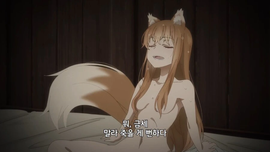 늑향) 최신애니 늑대와 향신료 2화의 호로 - 이미지 6