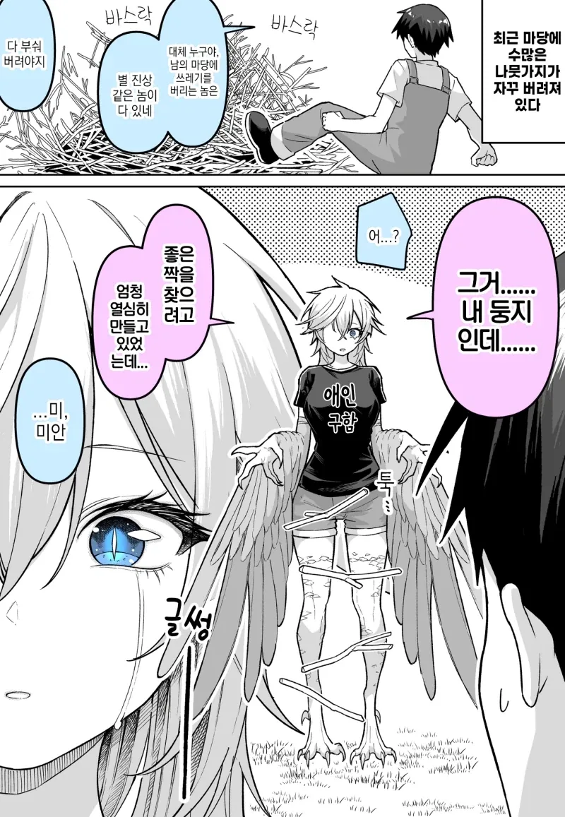 계획대로 하피 만화