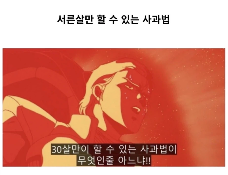 30대 찍은 청년들만 할 수 있는 사과법.jpg