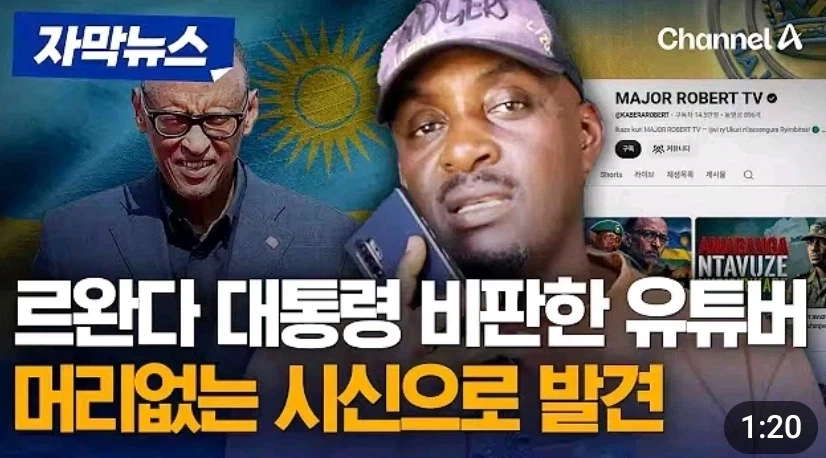 독재자 비판하면 생기는 일.jpg