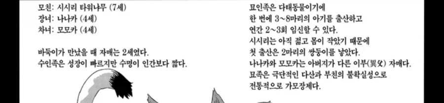 아사나기 신작 설정