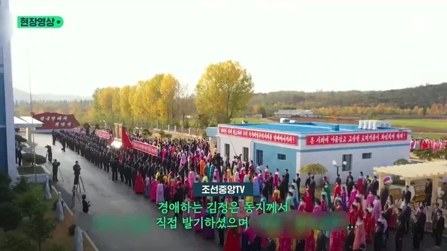 김정은 발기 사정