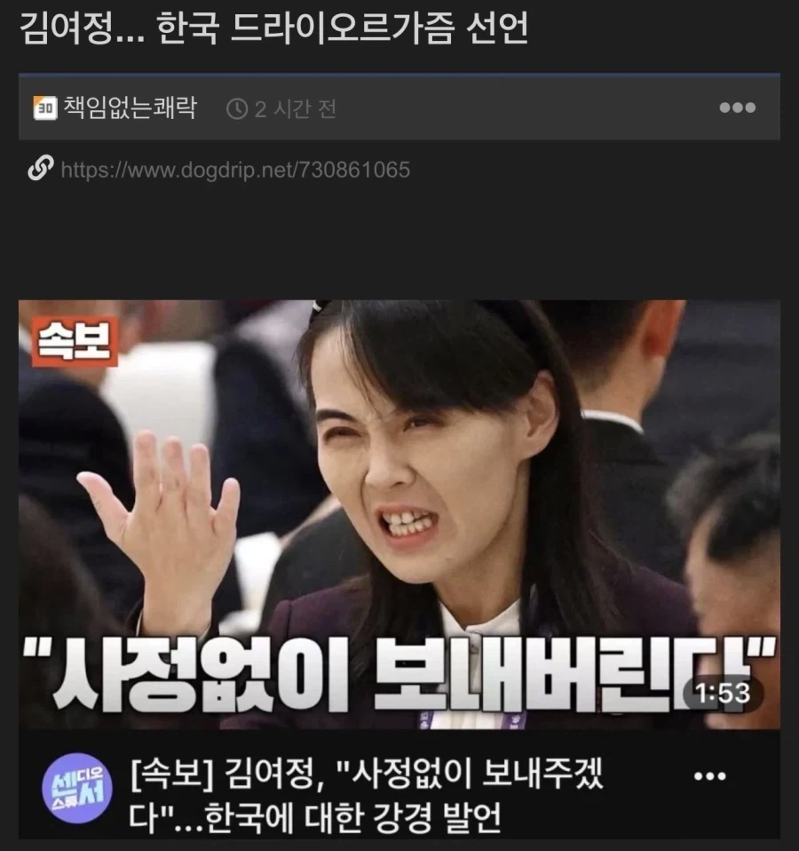 김정은 발기 사정 - 이미지 2