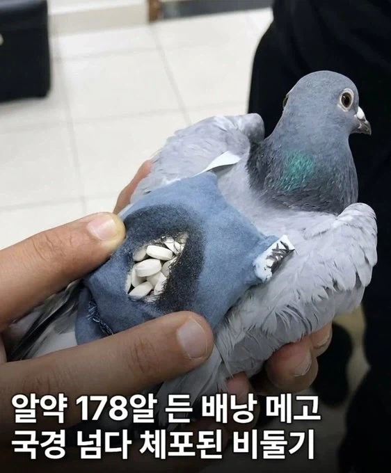 약서구.jpg