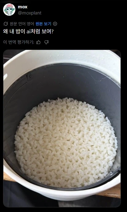 천하제일 AI같은 음식 만들기 대회