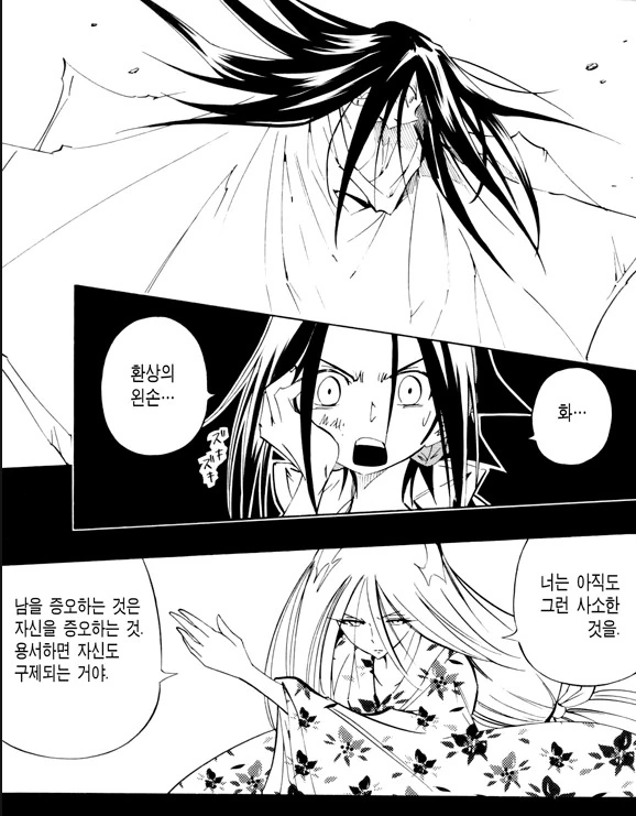 전설처럼 떠도는 샤먼킹 엔딩에 대해 알아보자 - 이미지 5