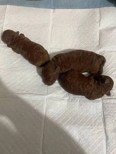 야 완장 나갔냐?????