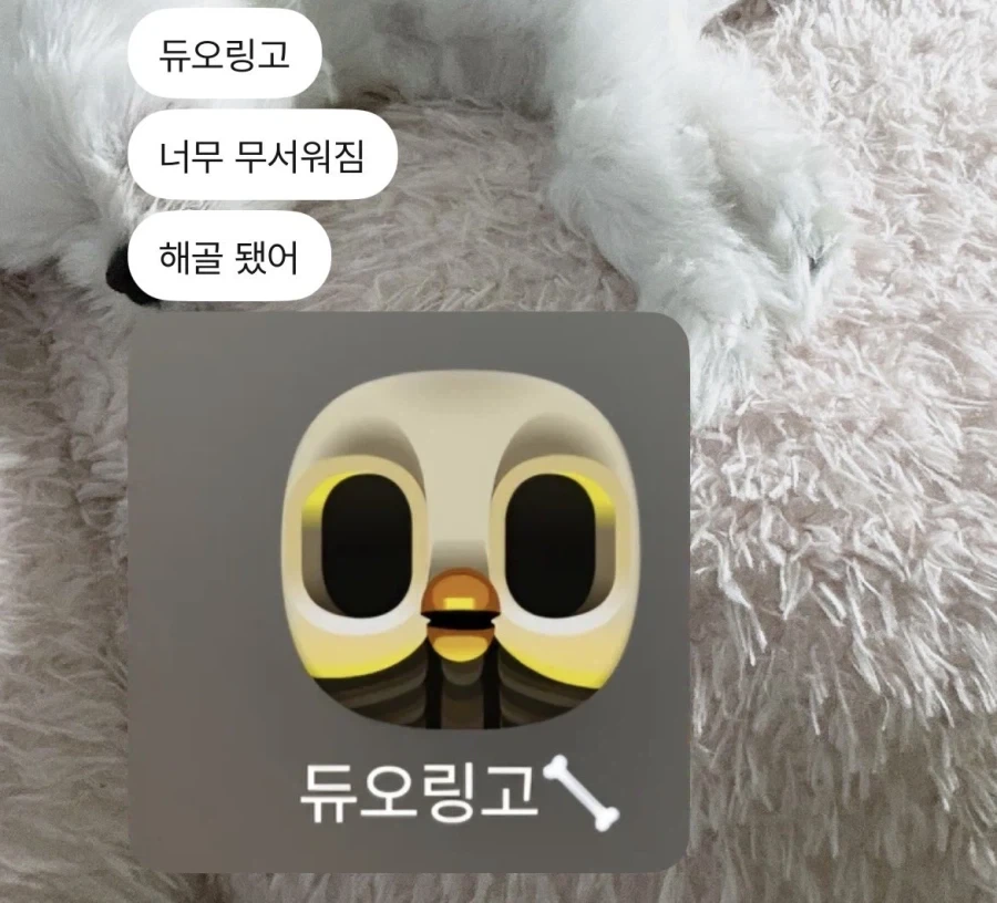 듀오링고를 방치하면 생기는 일