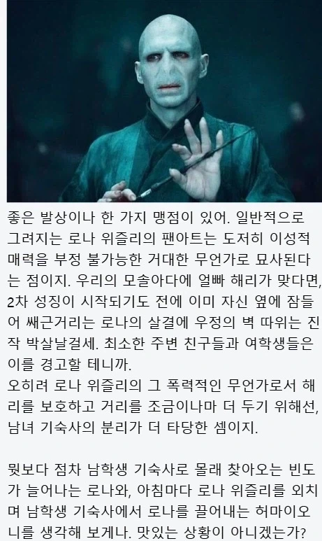 해리포터) 침착하게 토론하는 덤블과 볼디 - 이미지 9