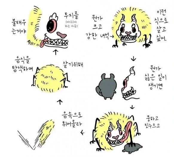 치이카와 모몽가가 찐광기인 이유.jpg